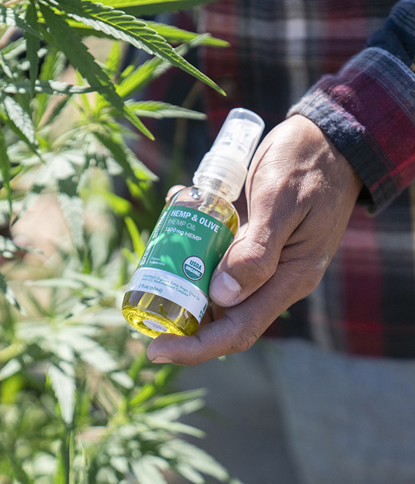 A person holding a bottle of Hemp & Olive hemp oil.